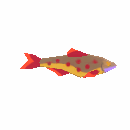 Vibrant Nano
